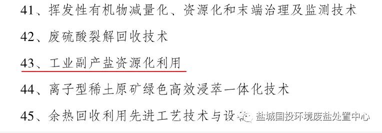 盐城市国投环境技术股份有限公司